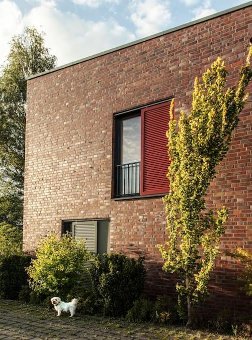Schickes Wohnstudio Mit Garten Am Aasee Ibbenbüren Exteriér fotografie